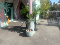 2 x Plant Pots With Artificial Trees