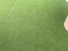 **NOW NO RESERVE** Astroturf Area