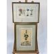 Mixed Set of Botanical Prints - Image 6 of 21
