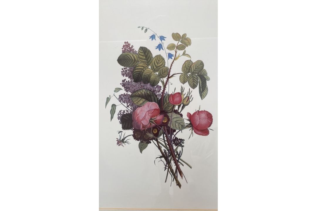 Mixed Set of Botanical Prints - Image 16 of 21