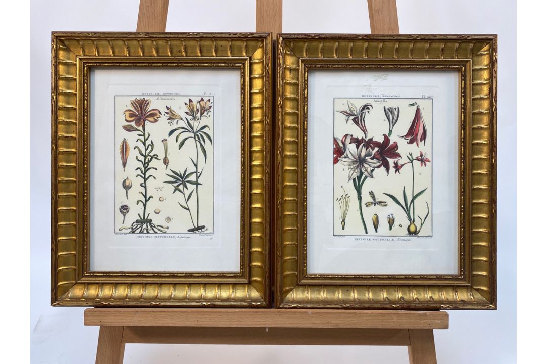 Mixed Set of Botanical Prints - Image 2 of 21