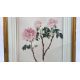 Mixed Set of Botanical Prints - Image 10 of 21