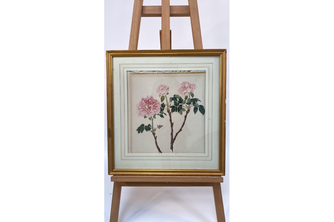 Mixed Set of Botanical Prints - Image 9 of 21