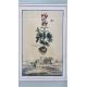 Mixed Set of Botanical Prints - Image 8 of 21