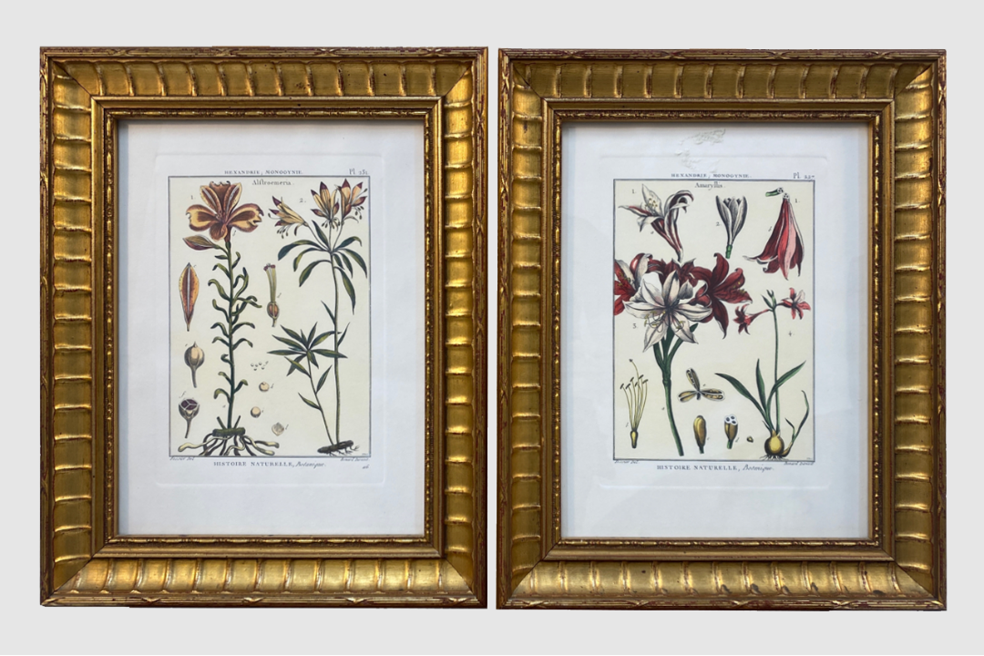 Mixed Set of Botanical Prints - Image 1 of 21