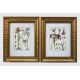 Mixed Set of Botanical Prints - Image 1 of 21