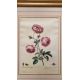 Mixed Set of Botanical Prints - Image 20 of 21