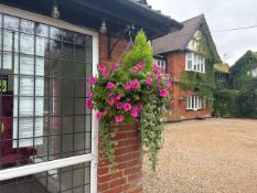NO Reserve - Pair of Hanging Baskets