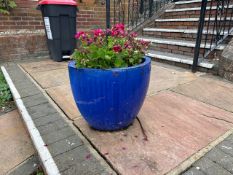 Plant Pot