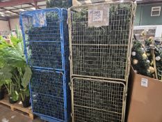 NO RESERVE Two Cages Containing Christmas Trees