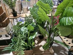 NO RESERVE Two Large and Ten Small Artificial Potted Plants