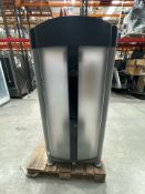 Everlast Back Extension