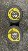 NO RESERVE Rocket 36kg Dumbbell Pair