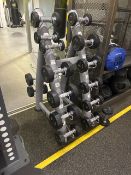 Physical Dumbbells and Stand