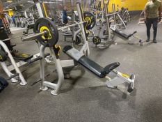 NO RESERVE Everlast Incline Bench Press Station