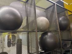 NO RESERVE Swiss Exercise Balls x5