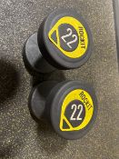 NO RESERVE Rockit 22kg Dumbbell Pair