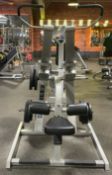 *NOW NO RESERVE* Everlast Plate Loaded Lat Pull Down