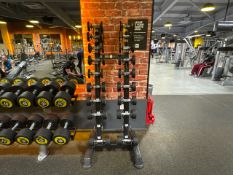 Rockit Dumbbells and Stand