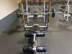 NO RESERVE Everlast Decline Bench Press Station