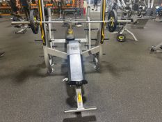 NO RESERVE Everlast Incline Bench Press Station