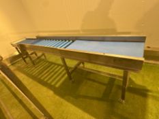 NO RESERVE Nawi 19032 Roller Conveyor