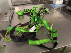 NO RESERVE GForce P-10 Safety Harness x2