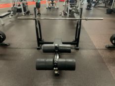 *NO RESERVE* Olympic Decline Bench