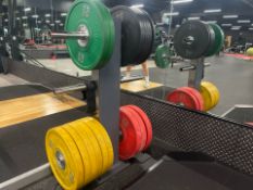 *NO RESERVE* Bumper Plate Stand