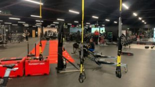 *NO RESERVE* TRX Suspension Cables