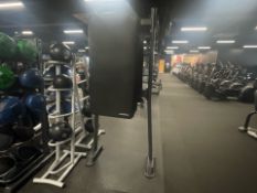 *NO RESERVE* Physical Gym Mats x 20 & Stand