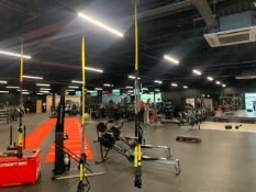 *NO RESERVE* TRX Suspension Cables