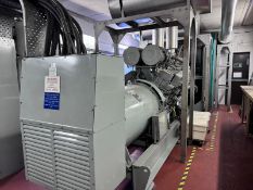 *RESERVE MET* MAGNAMAX - Backup Diesel AC Generator 1 (449 recorded hours)