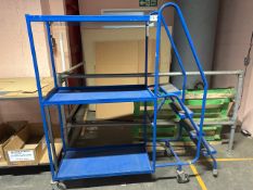 *NO RESERVE* Blue Metal Order Picking Ladder