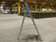 Metal Stepladder