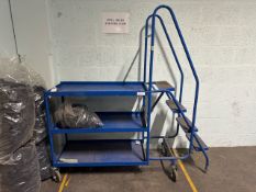 Blue Metal Order Picking Ladder
