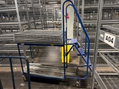 Blue Metal Order Picking Ladder