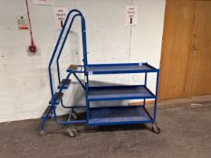 Blue Metal Order Picking Ladder
