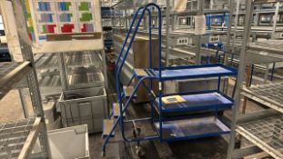 Blue Metal Order Picking Ladder