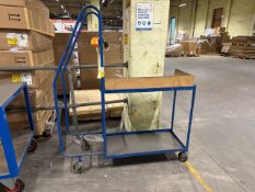 Blue Metal Order Picking Ladder