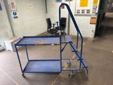 Blue Metal Order Picking Ladder