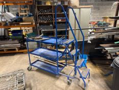 Blue Order Picking Ladder