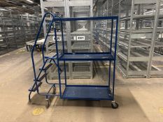 Blue Metal Order Picking Ladder