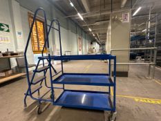 Blue Metal Order Picking Ladder