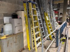*NO RESERVE* 12 x Assorted Ladders