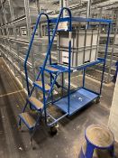 Blue Metal Order Picking Ladder