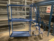 Blue Metal Order Picking Ladder