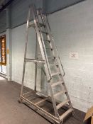 10 Rung Step Ladder with Wheels