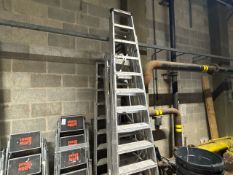 Assorted Ladders x7