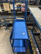 *NO RESERVE* Blue Metal Order Picking Ladder